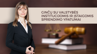 gincu su valstybes institucijomis ir istaigomis sprendimo ypatumai